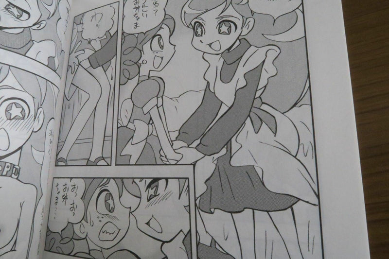 The Powerpuff Girls doujinshi (B5 42pages) Princess wishes PPG vol.2 Kenichi.T