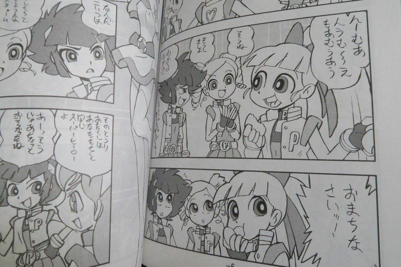 The Powerpuff Girls doujinshi (B5 42pages) Princess wishes PPG vol.2 Kenichi.T