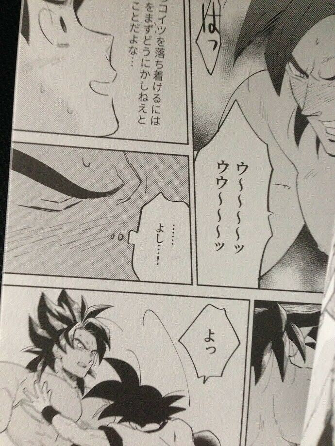 Dragon Ball Doujinshi Broly X Kakalot Goku (A5 36pages) INSTINCTS KANGAROOKICK