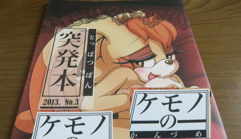 Doujinshi SONIC THE HEDGEHOG TAILS Vanilla (B5 16page) KEMONO KANDUME 2013 furry