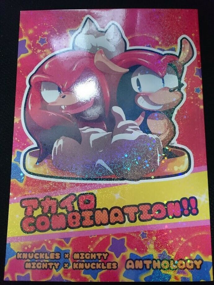 Doujinshi SONIC THE HEDGEHOG (A5 76pages) KNUCKLES X MICHTY COMBINATION