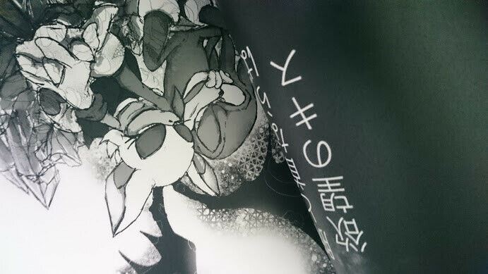 SONIC THE HEDGEHOG Doujinshi (A5 20pages) BAISER