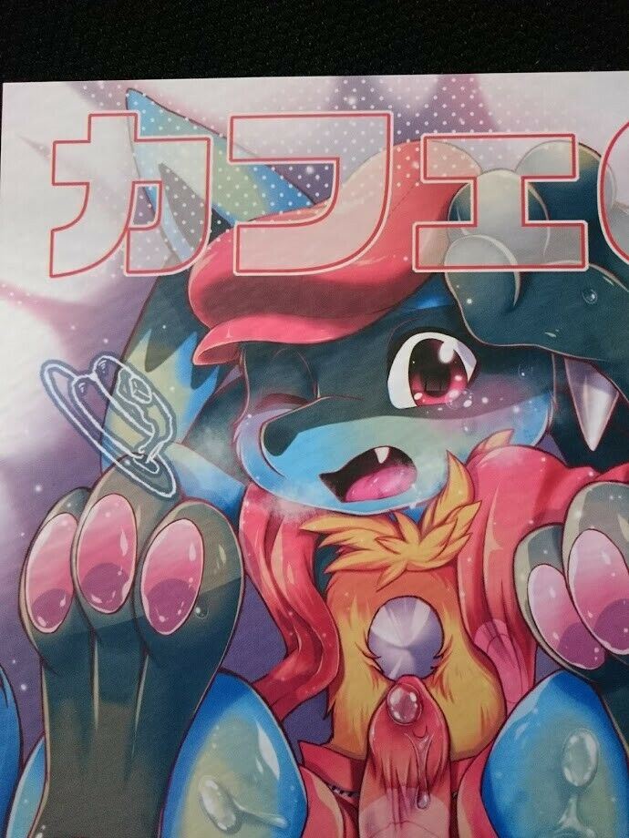 POKEMON Doujinshi Lucario uke (A5 30pages) furry dogear kemono