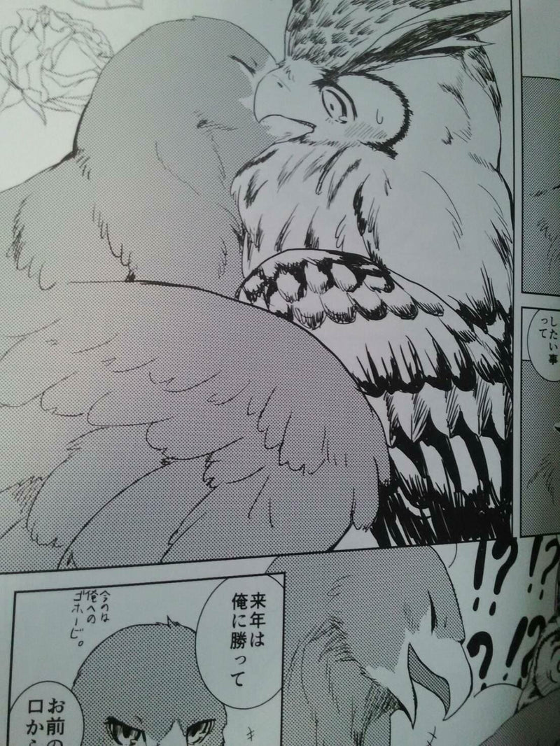 Doujinshi forbidden Bird Boy Love PARADICE REGUINED (B5 104pages) NAGABE furry