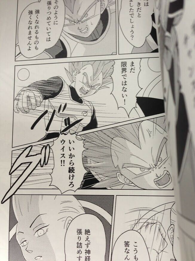 Dragon Ball Doujinshi Whis X Vegeta (B5 70pages) FLOWERS COMMON Novel main