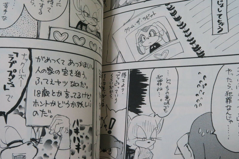 Sonic Doujinshi Knuckles & Rouge anthology no jijyo (A5 16pages) Binzume obake