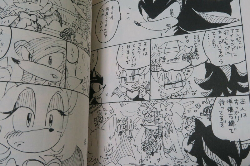 Sonic Doujinshi Knuckles & Rouge anthology no jijyo (A5 16pages) Binzume obake