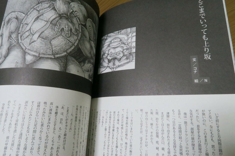 Teenage Mutant Ninja Turtles doujinshi (B5 66pages) kamekoi TMNT ERXTCA