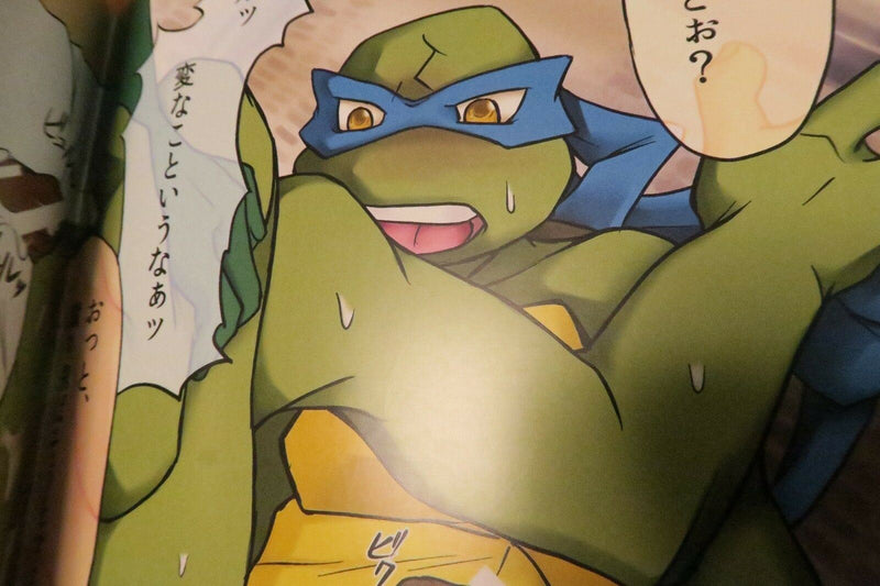 Teenage Mutant Ninja Turtles doujinshi (B5 12pages all color) DUAL DRIVE onichan