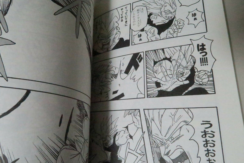Dragon Ball Doujinshi after SONOGONO DB vol.1 (A5 80pages) omada naoyuki