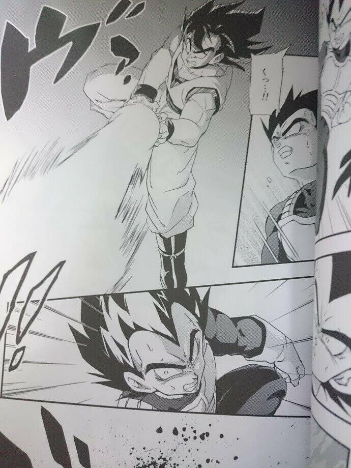 Dragon Ball doujinshi Goku X Vegeta (B5 60pages) DOKUGANRYU Kemono tachi