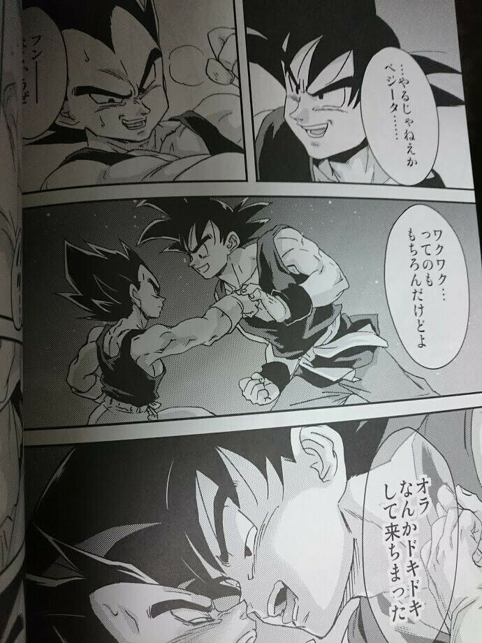 Dragon Ball doujinshi Goku X Vegeta (B5 60pages) DOKUGANRYU Kemono tachi