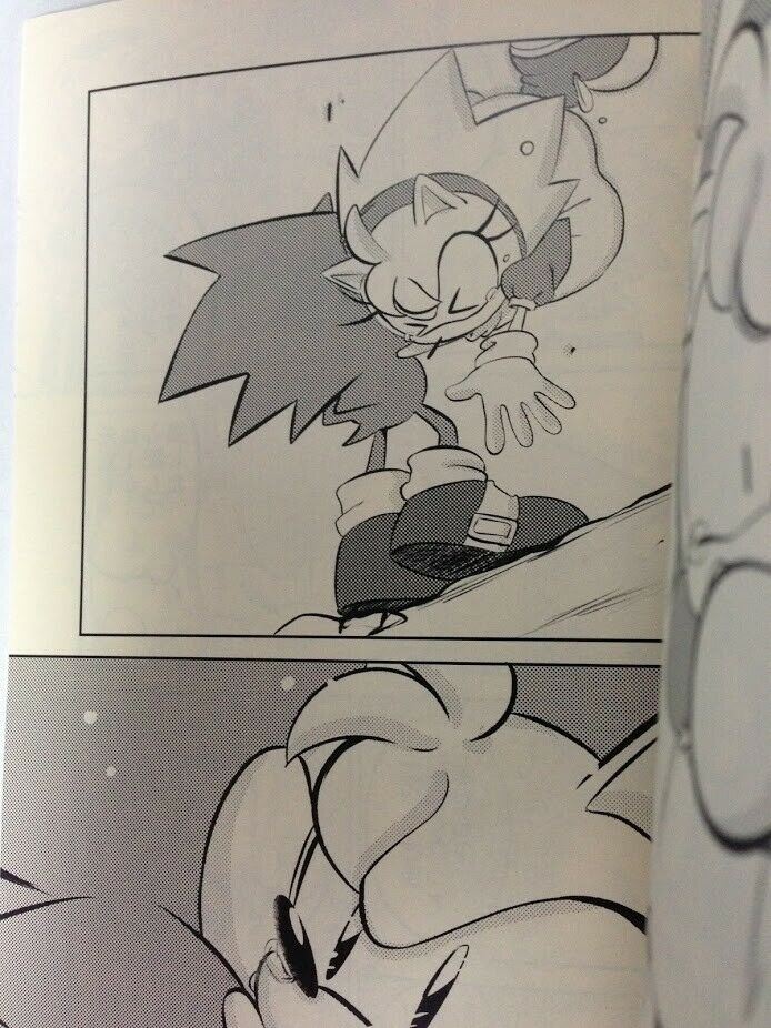 Sonic the Hedgehog Doujinshi Sonic X Amy (A5 58pages) kurosen Syakariki