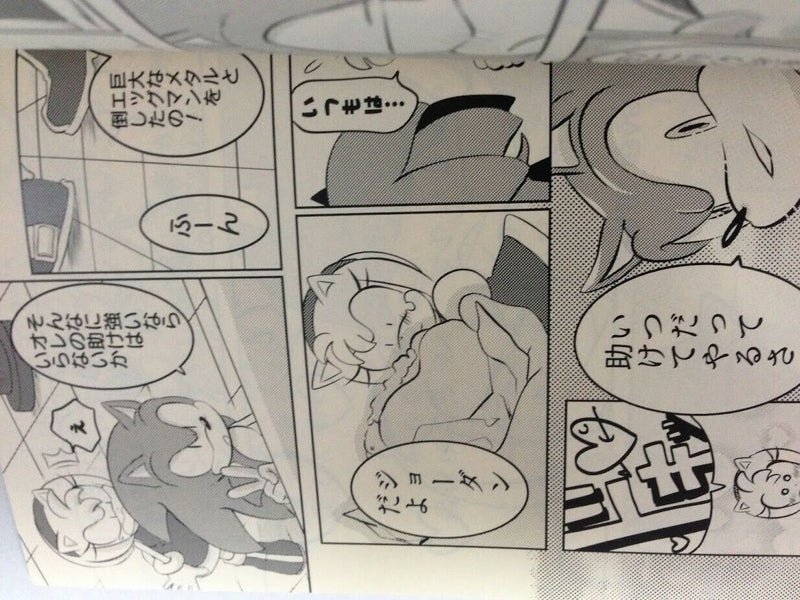 Sonic the Hedgehog Doujinshi Sonic X Amy (A5 58pages) kurosen Syakariki