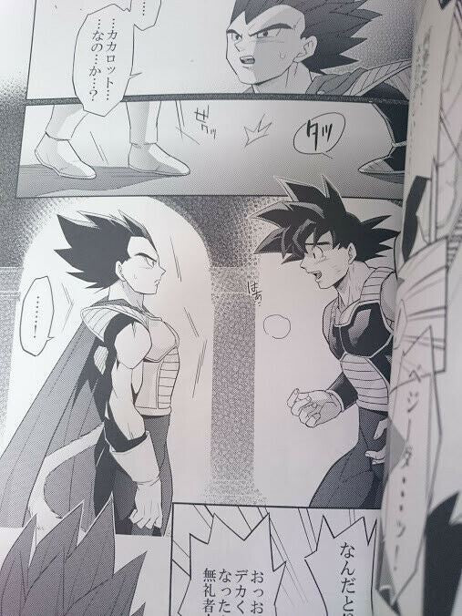 Dragon Ball Doujinshi Goku X Vegeta (B5 28pages) Into Darkness #2 Herumon