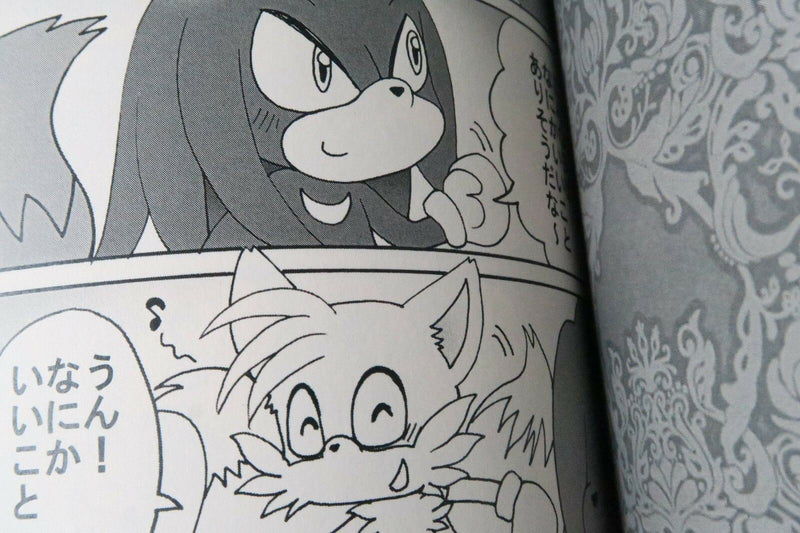 Sonic the Hedgehog Doujinshi Rouge main Oshiete Rouge sensei (A5 20pages) Maruo