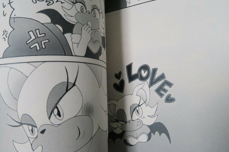 Sonic the Hedgehog Doujinshi Rouge main Oshiete Rouge sensei (A5 20pages) Maruo