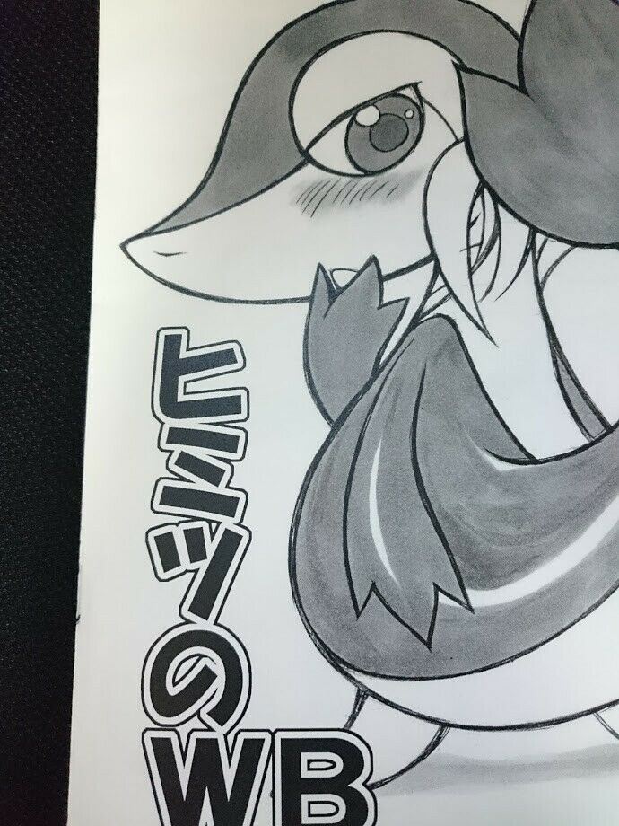 Pokemon handmade Doujinshi Snivy main (B5 16pages) furry mayoineko kemono