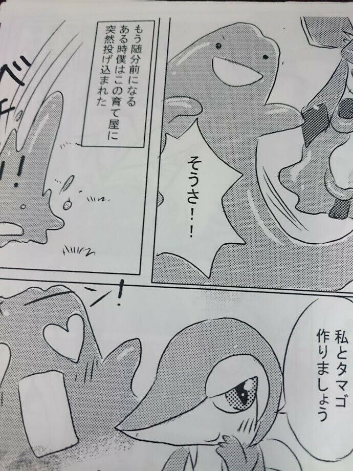 POKEMON handmade Doujinshi Ditto X Glaceon (A5 20pages) Pocket Drop Renge furry