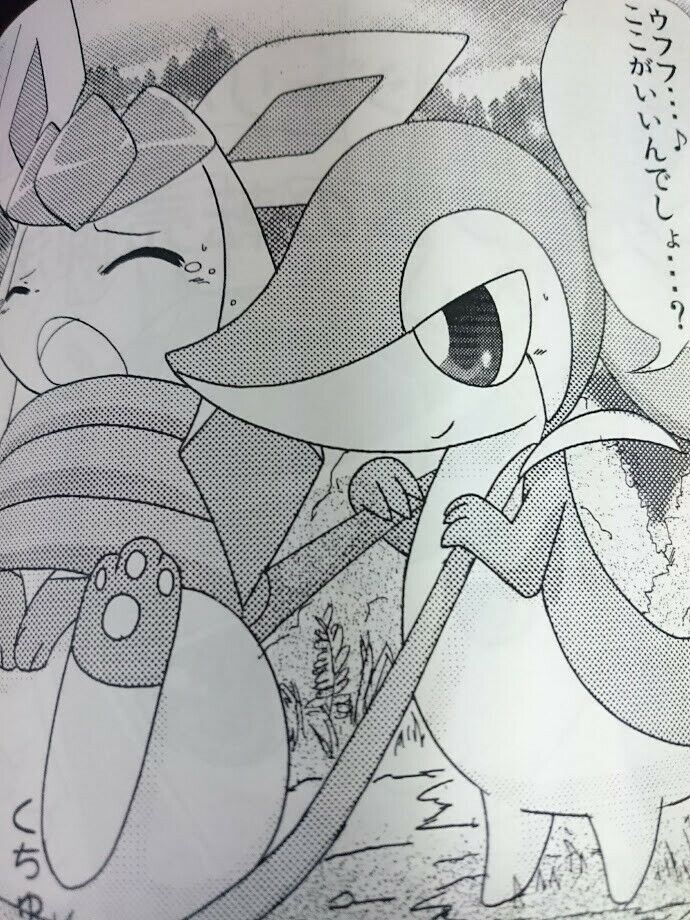 POKEMON handmade Doujinshi Ditto X Glaceon (A5 20pages) Pocket Drop Renge furry