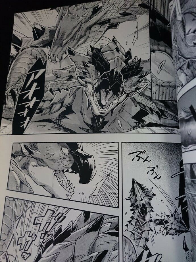 Doujinshi Monster Hunter Lagiacrus X Rathalos (B5 30pages) furry INCERTri kemono