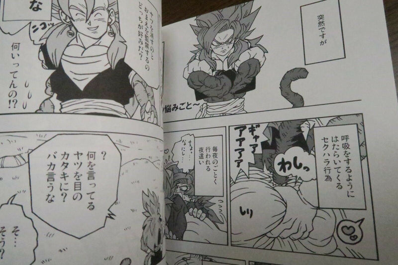 Dragon Ball Doujinshi X OSSAN!!! Parallel love with OGETTO (A5 94pages)