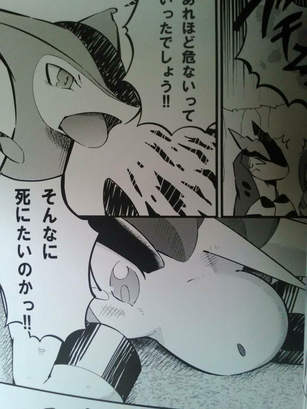 Doujinshi POKEMON Keldeo anthology (B5 68pages) beast works no hon furry kemono