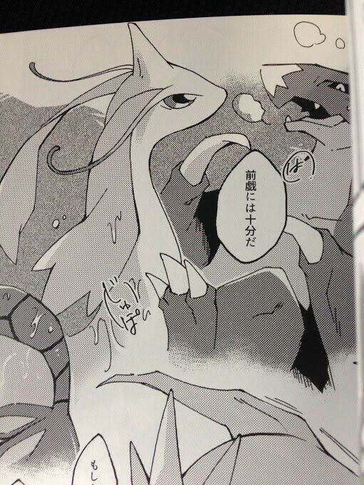 POKEMON Doujinshi Windie, Garchomp, Metagross main (A5 32pages) furry gensen 24