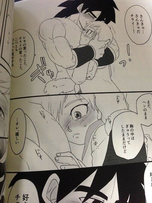Dragon Ball Doujinshi Broly x Chirai (B5 28pages) Strange toriatama