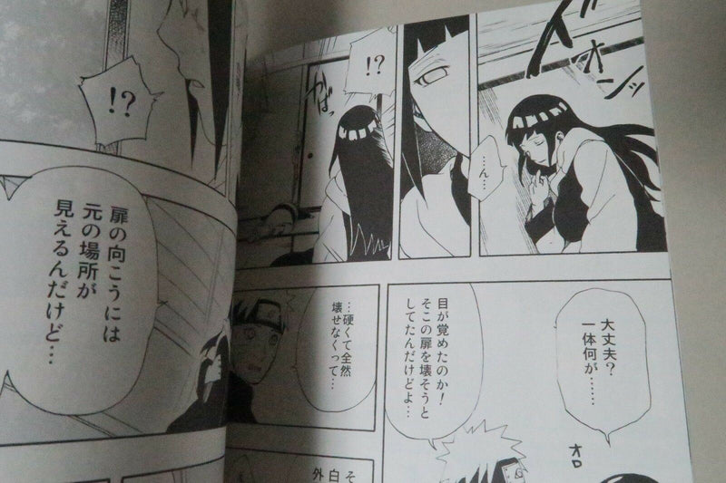 NARUTO doujinshi Naruto X Hinata (B5 64pages) Lunacy Sxx shinaito derarenai heya