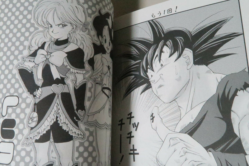 Doujinshi Dragon Ball Goku X Vegeta (A5 106pages) Soul beast Back Beast #004