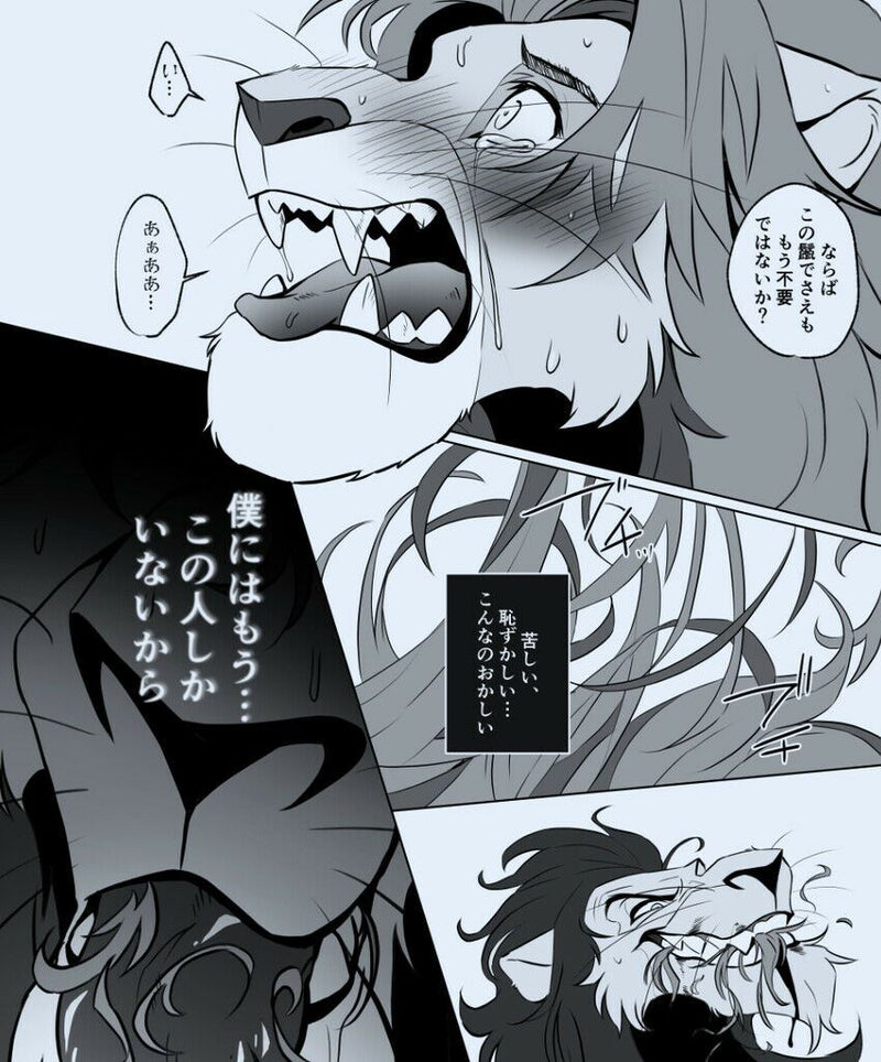 The Lion King doujinshi Scar X Simba (B5 40pages) furry tategami ubaiatte kemono