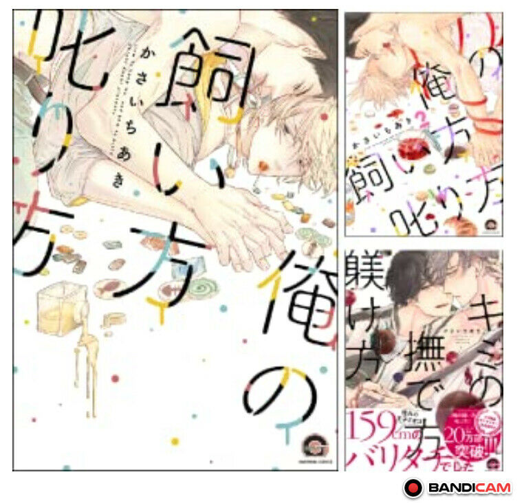 Japanese editionBL Yaoi Kimono+Orenokaikata shikarikata 3 set Kasai chiaki