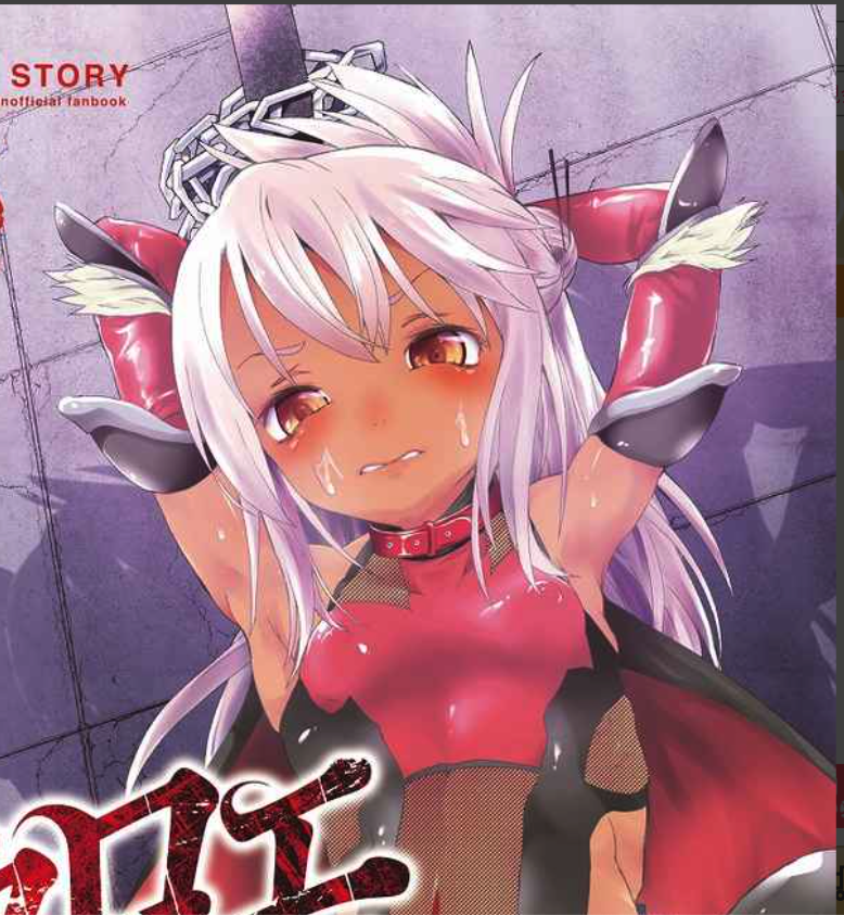 Doujinshi fan fiction books Taimanin Asagi Magical Girl Chloe Ilya FGO book NEW