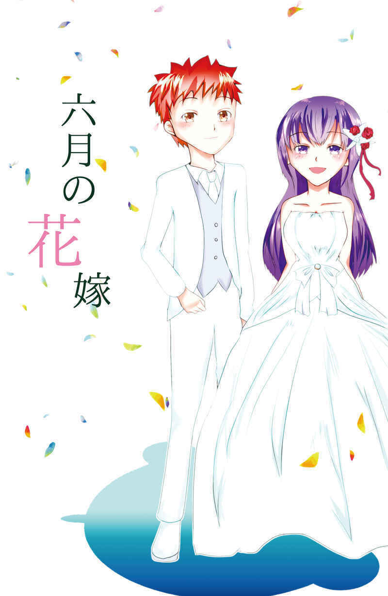 Doujinshi fan fiction books June bride book NEW Comic Japanese original Anime