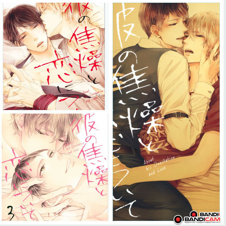 Japanese editionBL About his irritation and love Vol.1-3 set Hekimoto sari