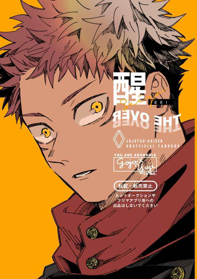 Doujinshi fan fiction books Awakening JUJUTSU KAISEN Japanese Anime Manga Game N