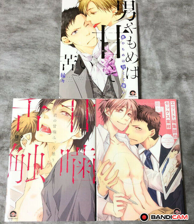 Japanese editionBL Yaoi Comic 3 set Otokoyamomeha amakutenigai Amagami Enen