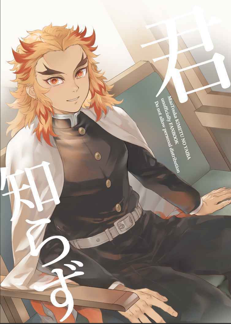 Doujinshi fan fiction books I don't know you Demon Slayer Kimetsu no yaiba Japan