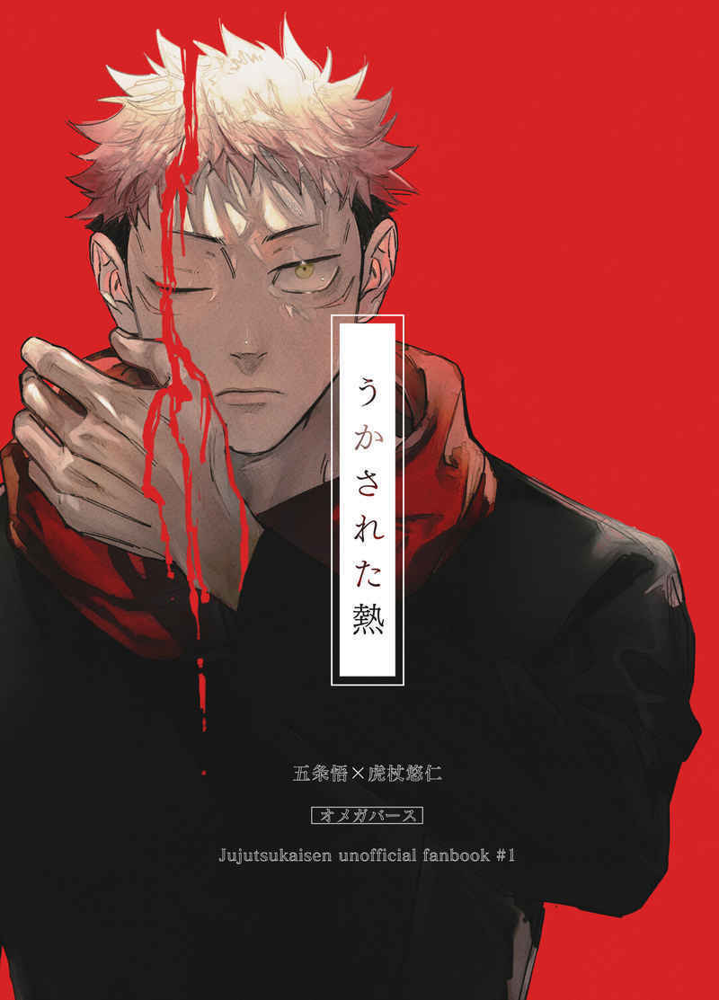 Doujinshi fan fiction books The fever JUJUTSU KAISEN Japanese Anime Manga Game J