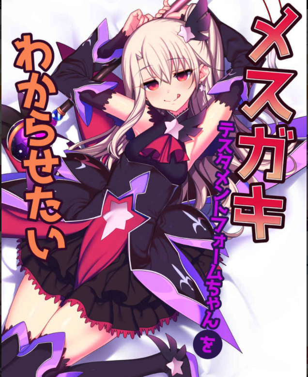 Doujinshi fan fiction books Testament form Ilya FGO book NEW Comic Japanese