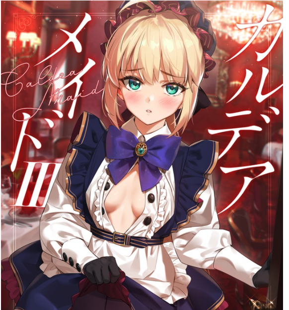 Doujinshi fan fiction books Chaldea Maid 3 FGO book NEW Comic Japanese original