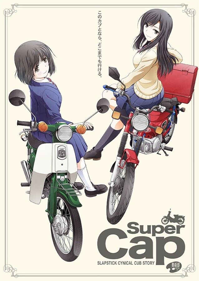 Doujinshi fan fiction books Super Cap Super Cub Japanese Anime Manga Game NEW Co