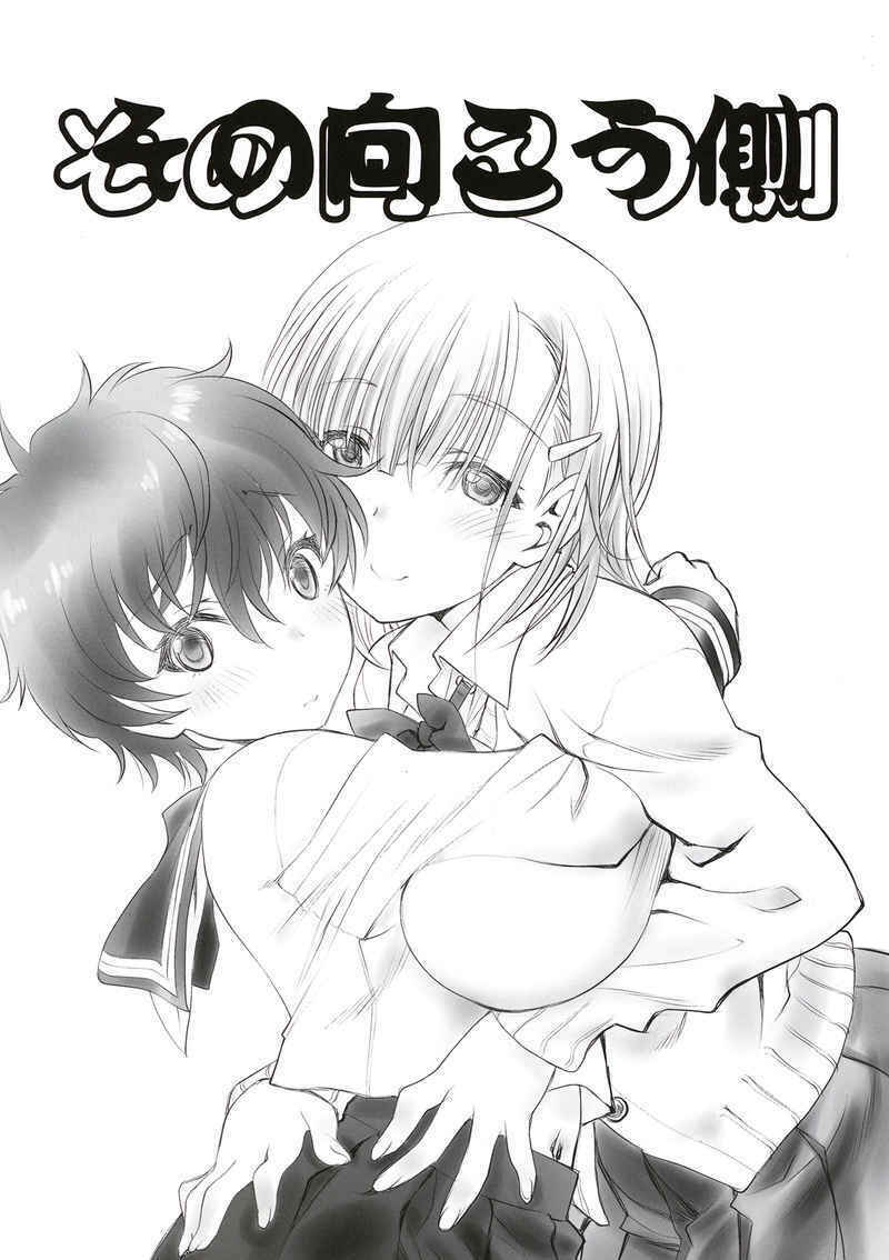 Doujinshi fan fiction books The other side book NEW Comic Japanese original