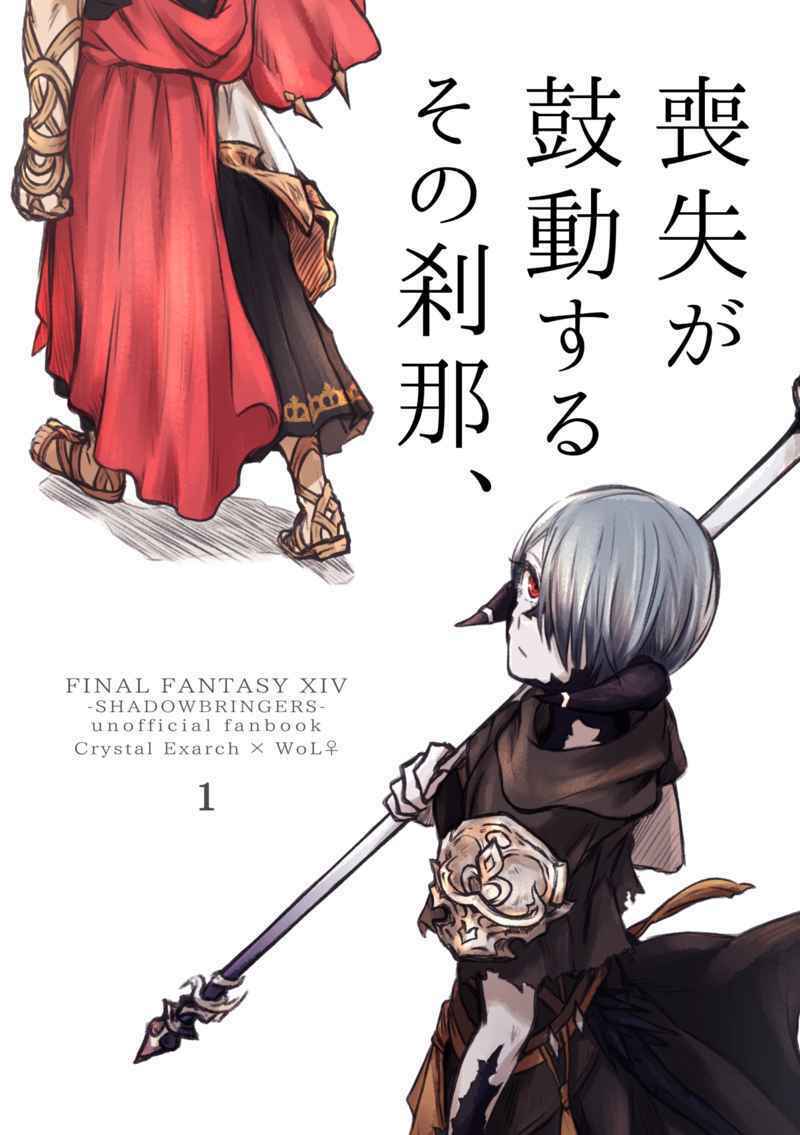 Doujinshi fan fiction books The moment when loss beats Final Fantasy Japanese An