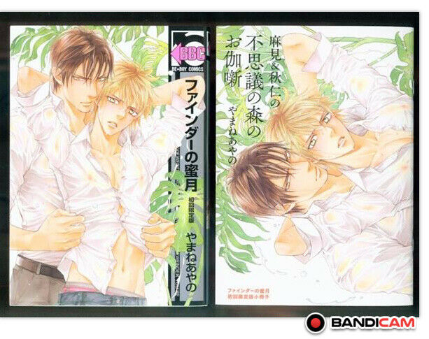 JapaneseBL Honeymoon Within the View Finder Vol.10+Mini Comic Yamane ayano