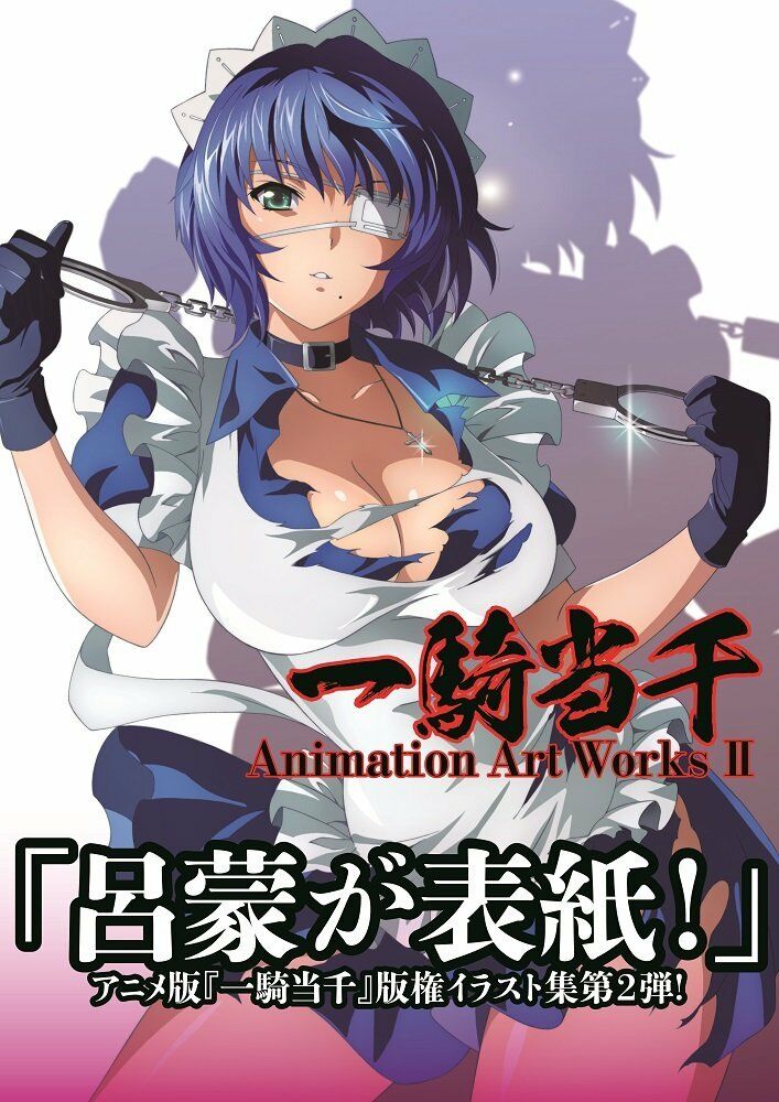 NEW' Ikki Tousen Animation Art Works 2 | Japan Anime Art Book