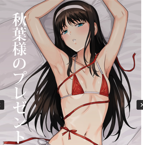 Doujinshi fan fiction books Akiha present Tsukihime book NEW Comic Japanese