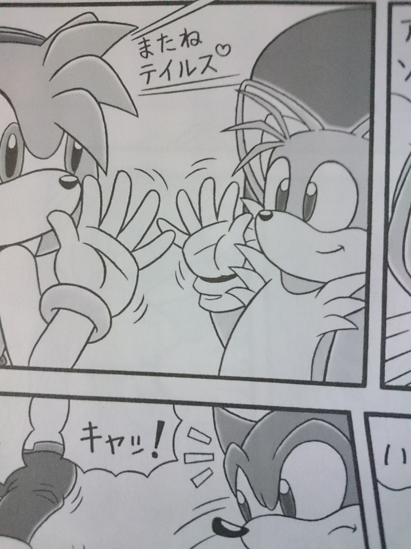 Sonic the Hedgehog Doujinshi Furry Bomb Factory (B5 28pages) Furry Bomb #3