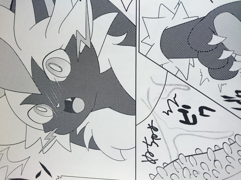 Pokemon Doujinshi Zeraora Uke (B5 20pages) Kemono Furry Ikaneko Bu Tettei Ikusei